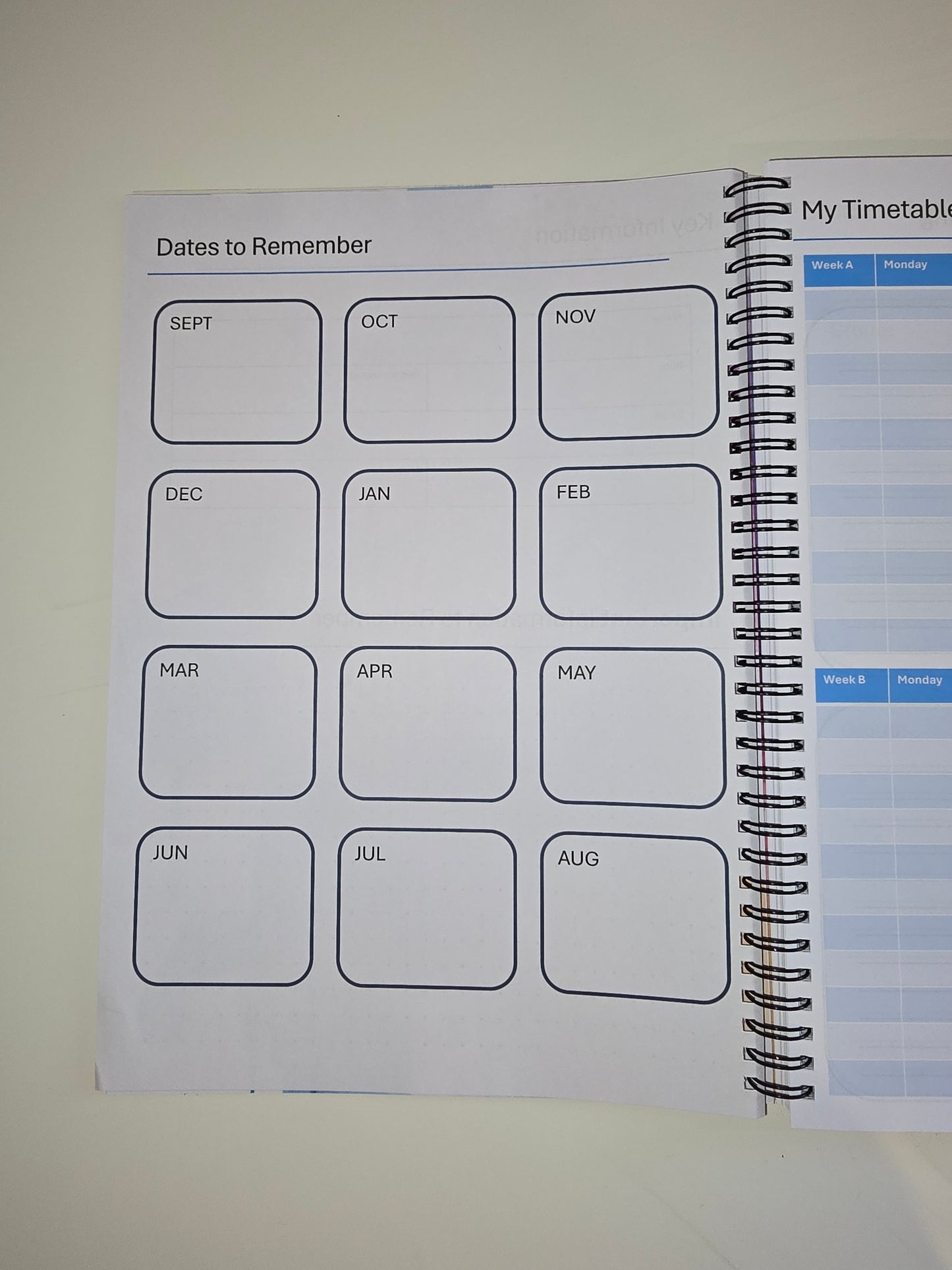 DT Teacher Planner