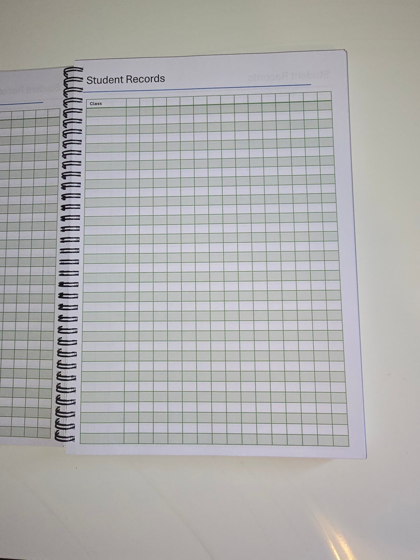 DT Teacher Planner