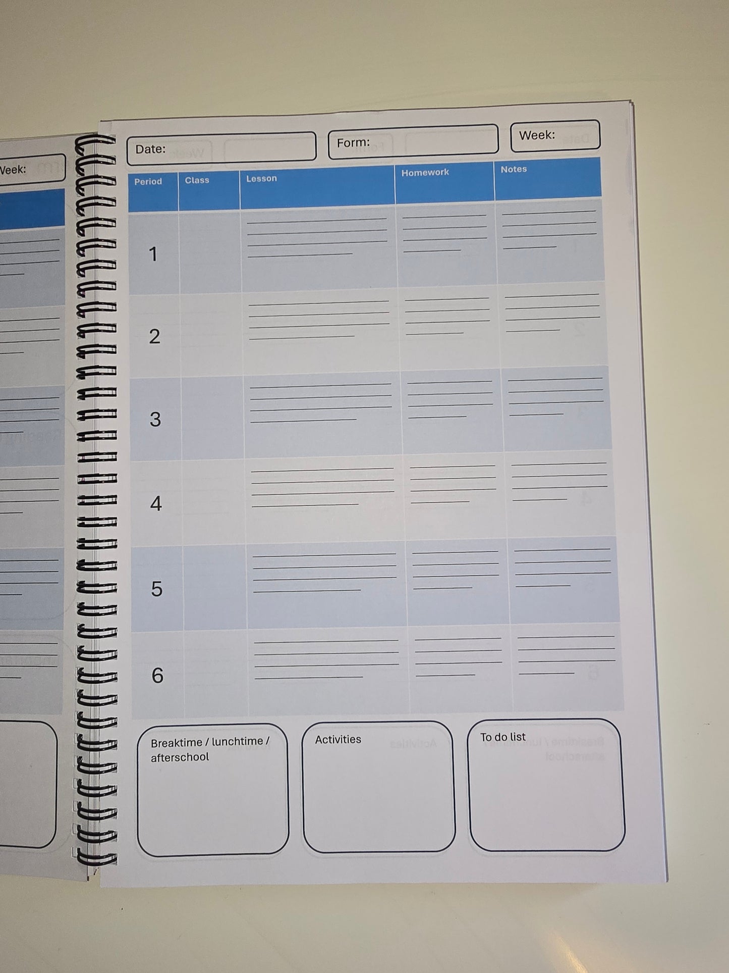 DT Teacher Planner