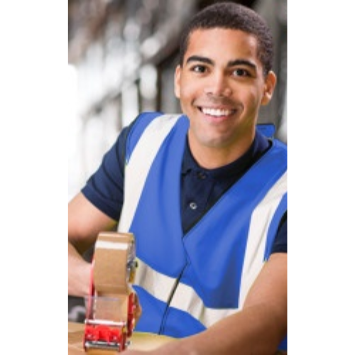 Plain Hi-Vis Vest