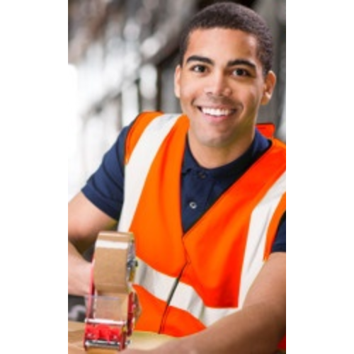 Plain Hi-Vis Vest