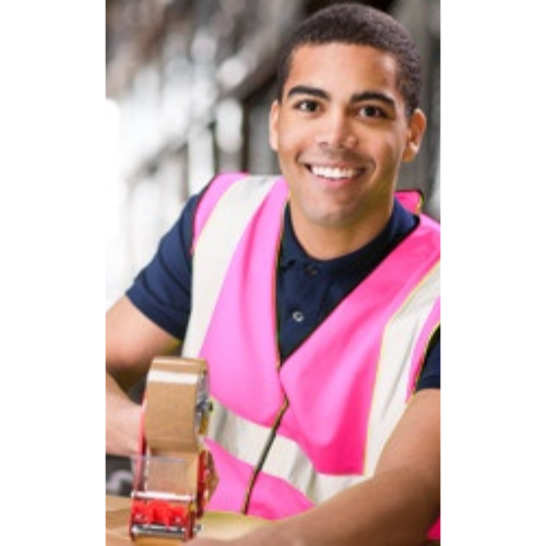 Plain Hi-Vis Vest