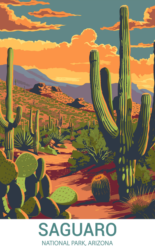 Saguaro National Park, Arizona A4 Poster