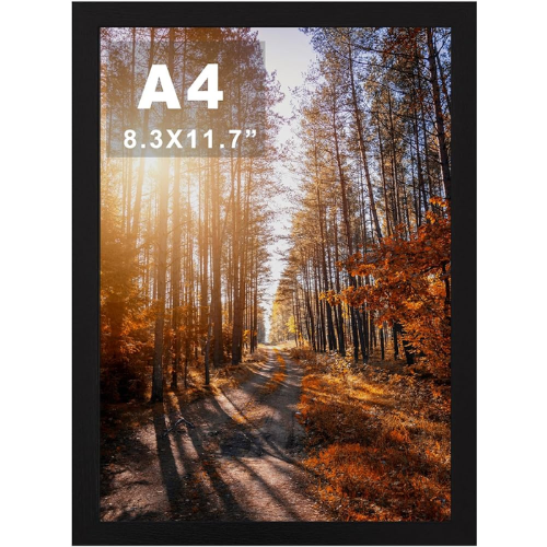 A4 Photo